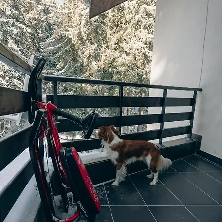 Apartament Max Pamporowo