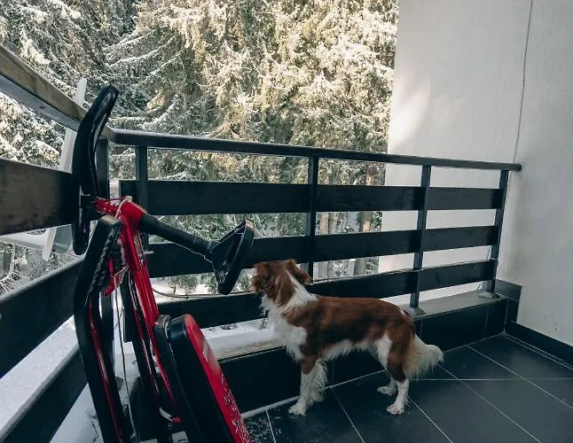 Apartment Max Pamporovo